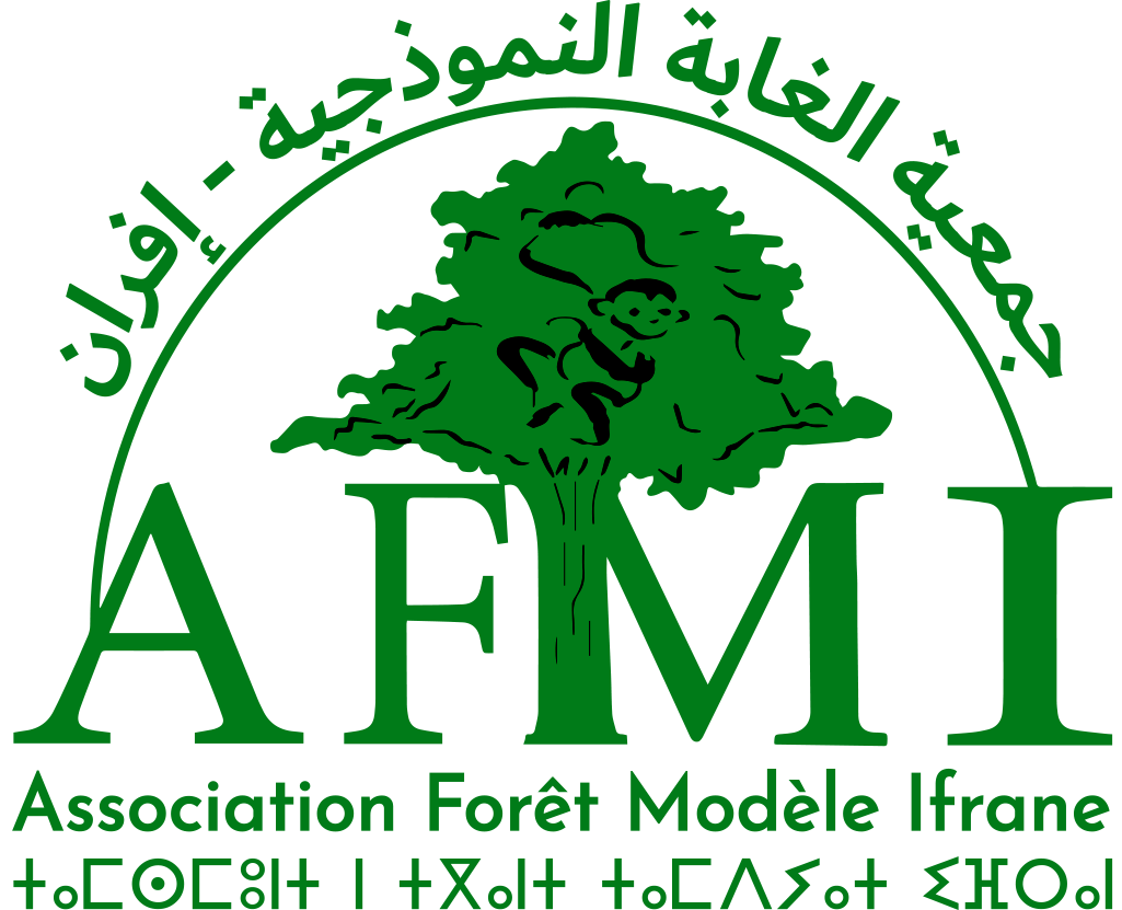Logo-AFMI-Offic-2024