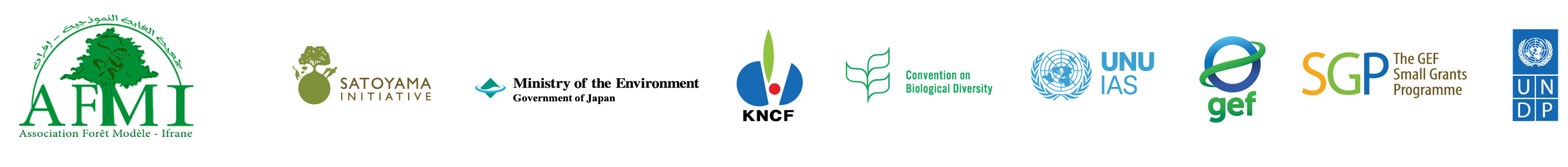 SGP and COMDEKS logo Block Color_